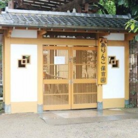 ありんこ保育園