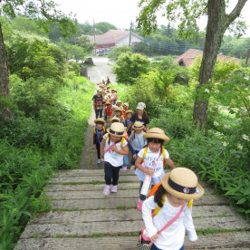 府中文化幼稚園の写真4