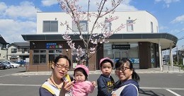 どんぐり