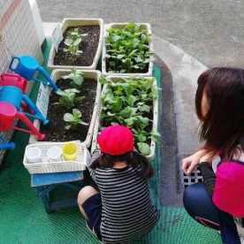 江東区立小名木川幼稚園の写真5