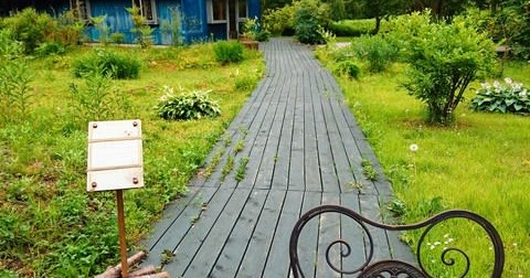 創造の森