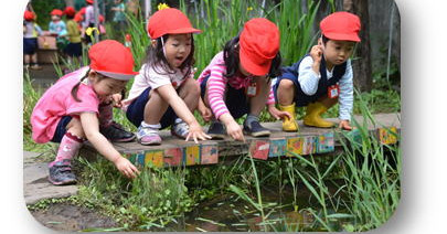 青南幼稚園