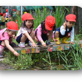 青南幼稚園の写真3
