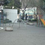 泰明幼稚園の写真4