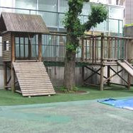 泰明幼稚園の写真5
