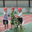 淀橋第四幼稚園