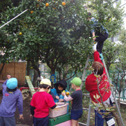 柳町幼稚園の写真4