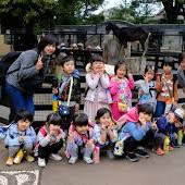 城西幼稚園の写真2