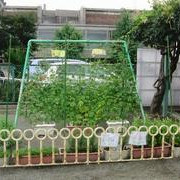中町幼稚園の写真2