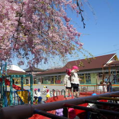練馬ひかり幼稚園