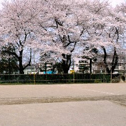 不二幼稚園