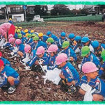 花畑八千代幼稚園の写真2