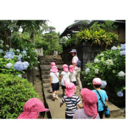 青柳幼稚園の写真2