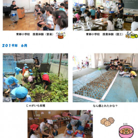 青柳幼稚園の写真3