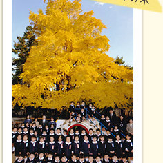 福田幼稚園の写真2
