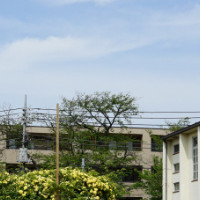 尾山台ナザレン