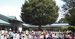 中里幼稚園