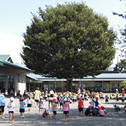 中里幼稚園