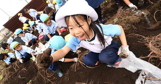 練馬白菊幼稚園
