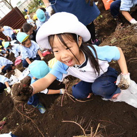 練馬白菊幼稚園の写真2