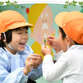 練馬白菊幼稚園の写真3