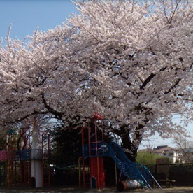 関町カトレヤ幼稚園