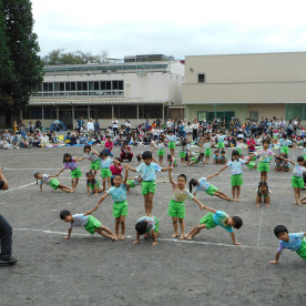 成増すみれ幼稚園の写真4