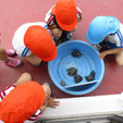 錦秋幼稚園の写真3