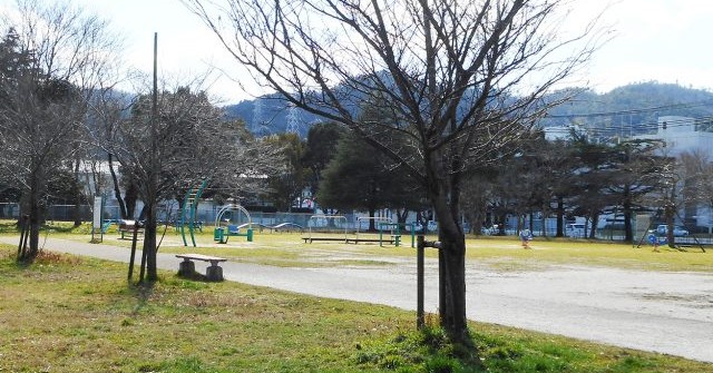 どんぐりこども園