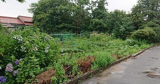 外江保育園