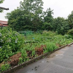 外江保育園の写真2