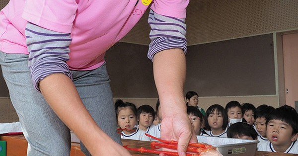 聖心幼稚園