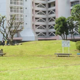 江東区南砂第三保育園の写真2