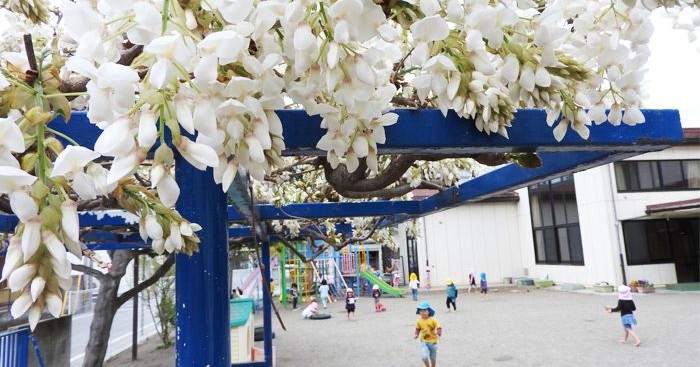 幼稚園型認定こども園　松代幼稚園