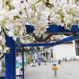 幼稚園型認定こども園　松代幼稚園
