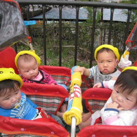 こばと保育園の写真3