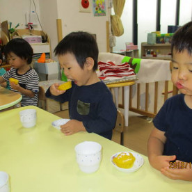 さつき保育園中村橋の写真3