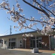 岩村田北保育園　分園　おひさまの森の写真2