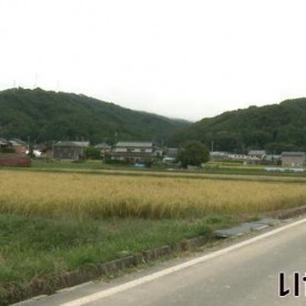 高遠保育園の写真1