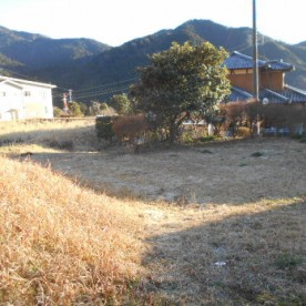 田立保育園の写真3