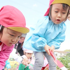 認定こども園　大宮幼稚園の写真3
