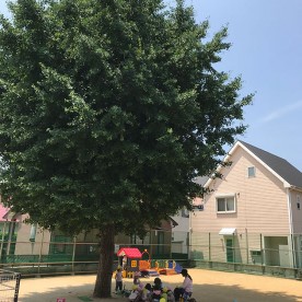 小規模保育所　とみのはら保育園の写真2