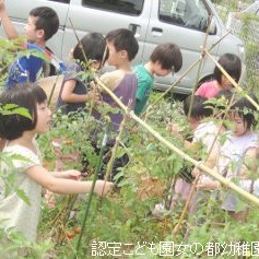 認定こども園　女の都幼稚園