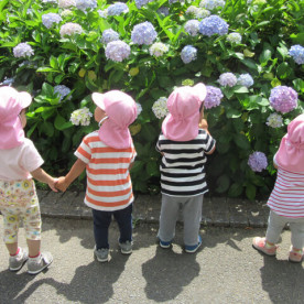 ステラ竹の塚の写真5