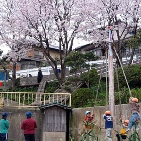春日幼児園