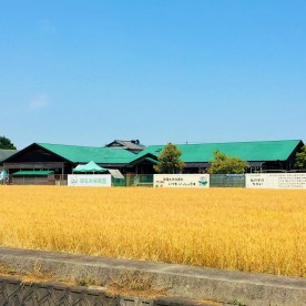 ほなみ保育園