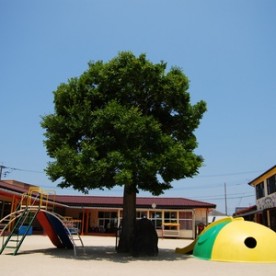 新城保育園