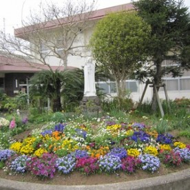 平和のばら保育園の写真1