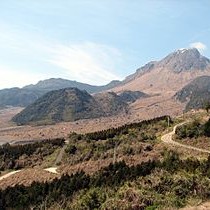 洗心保育園