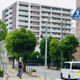 とんぼ保育園の写真2